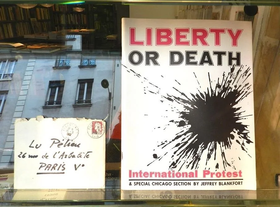 Remember Liberty or Death 
" International Protest " 
Chicago Artist and Exhibit Lu Pelieu 
© Lea  Lee 