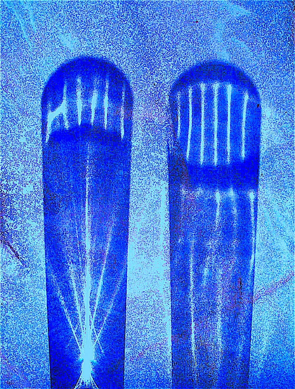 Tribute to World Trade center 9 /11 Victims
© Lea Lee  ( This image will be done in NFT and the funds given to family victims ) 