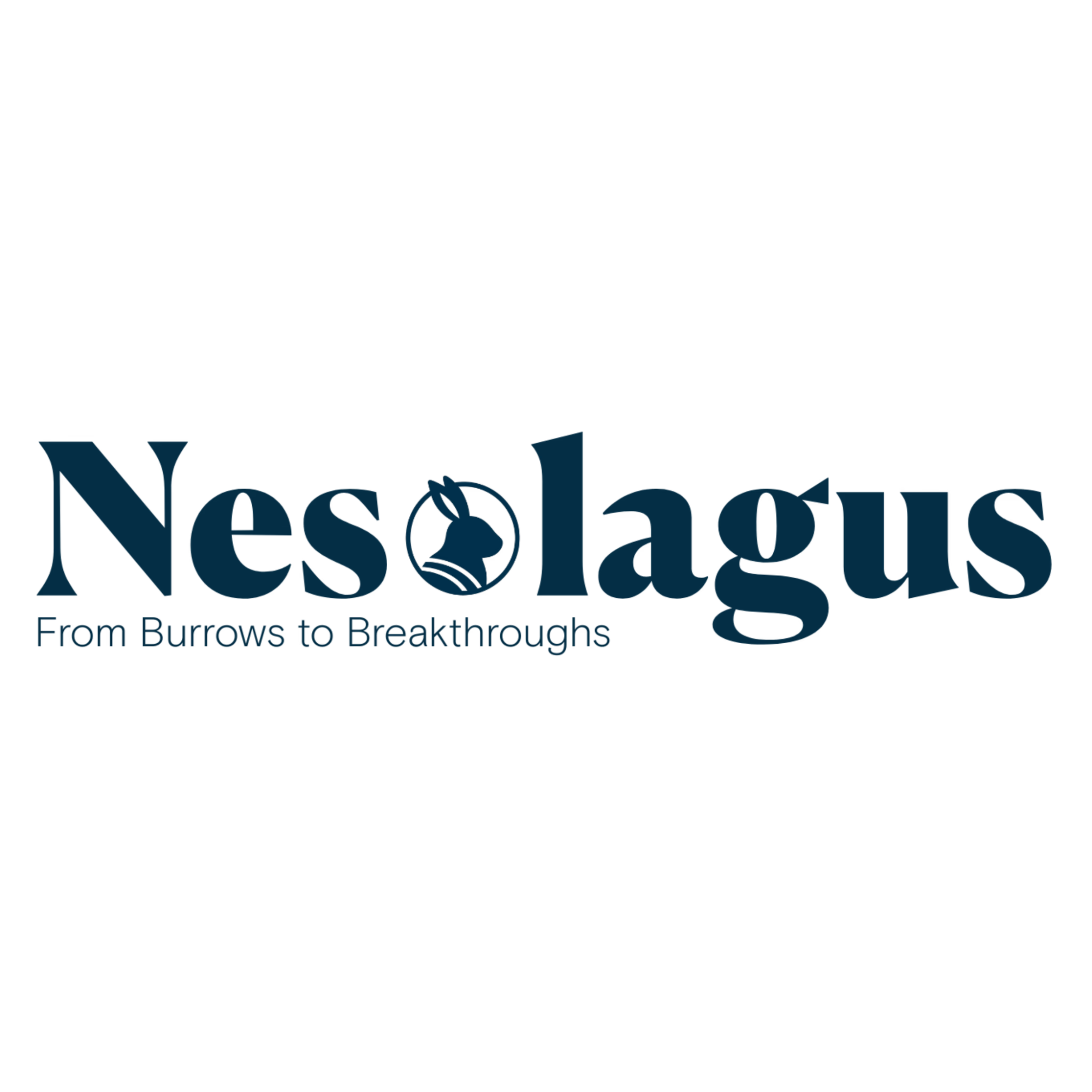 NesLogo1.png