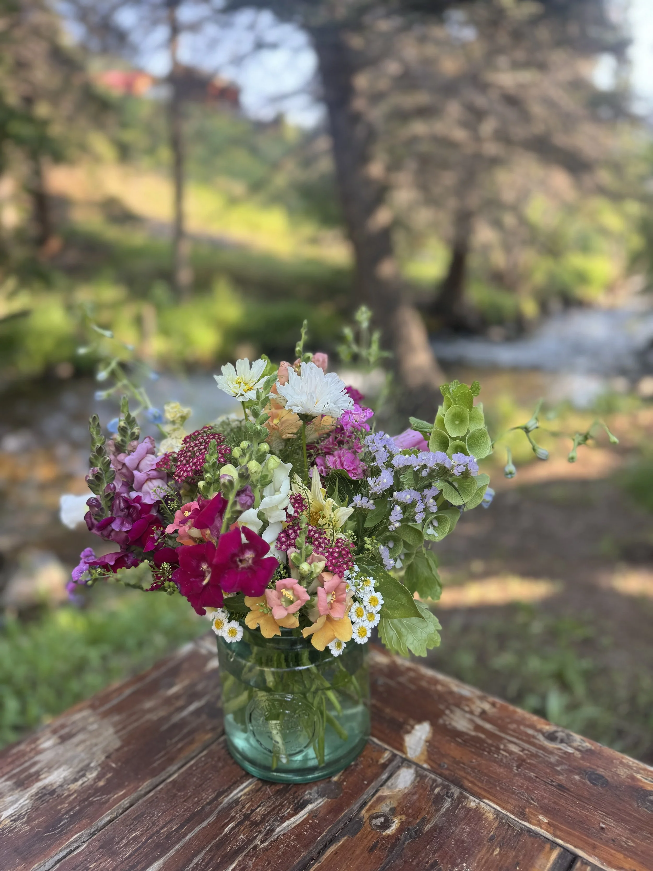 The Abundant (9 weeks)