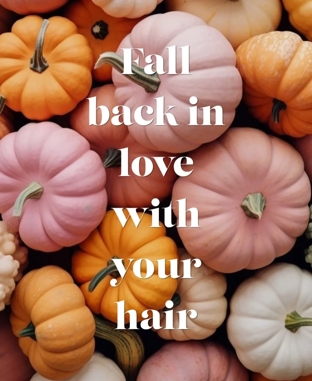 ✨ Fall back in love with your hair 🍂 

A little refresh, a new colour, or finally getting those layers you&rsquo;ve been thinking about&hellip; whatever your hair is craving, we&rsquo;re here for it.

🩷 Call or book your fall appointment online at 