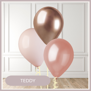 TEDDY.webp