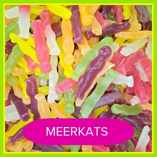 MERRKATS.JPG