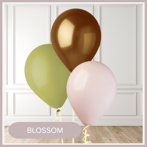 BLOSSOM.webp