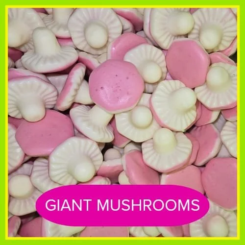 MUSHROOMS.JPG