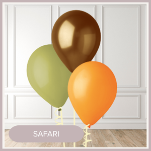 SAFARI.webp