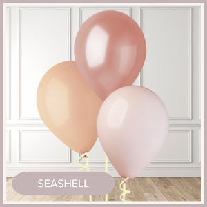 SEASHELL.webp