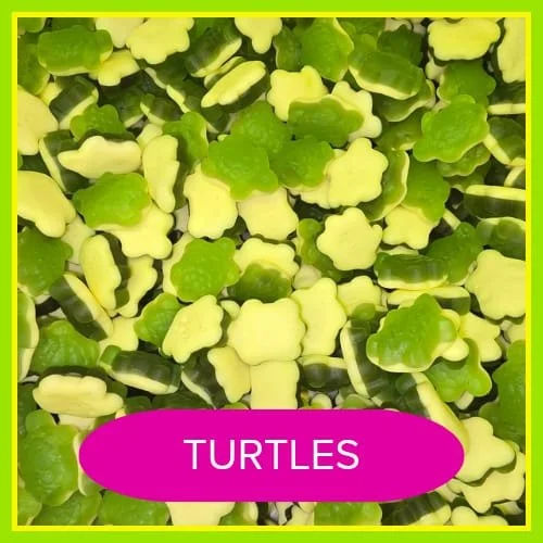 TURTLES.JPG