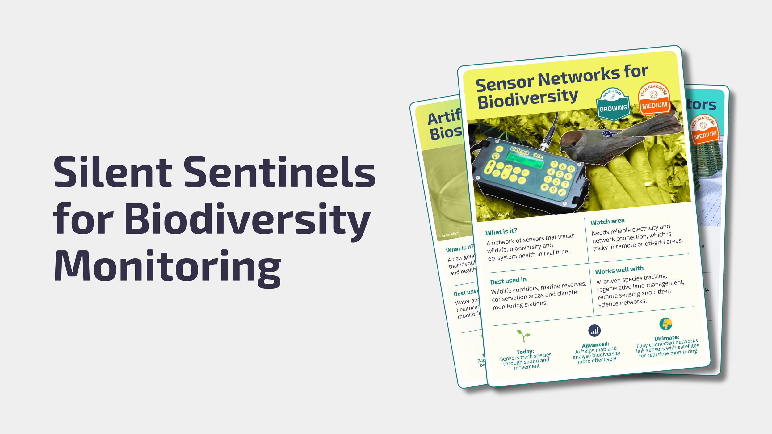 On the Frontier of Biodiversity Data