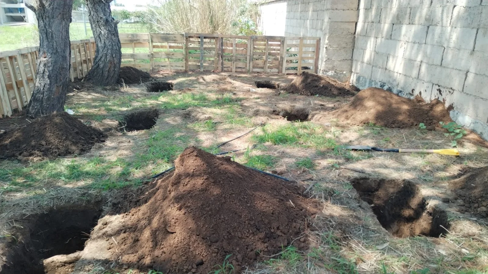 Call for proposals: Strategic advisor to FOUND on impact and partnerships