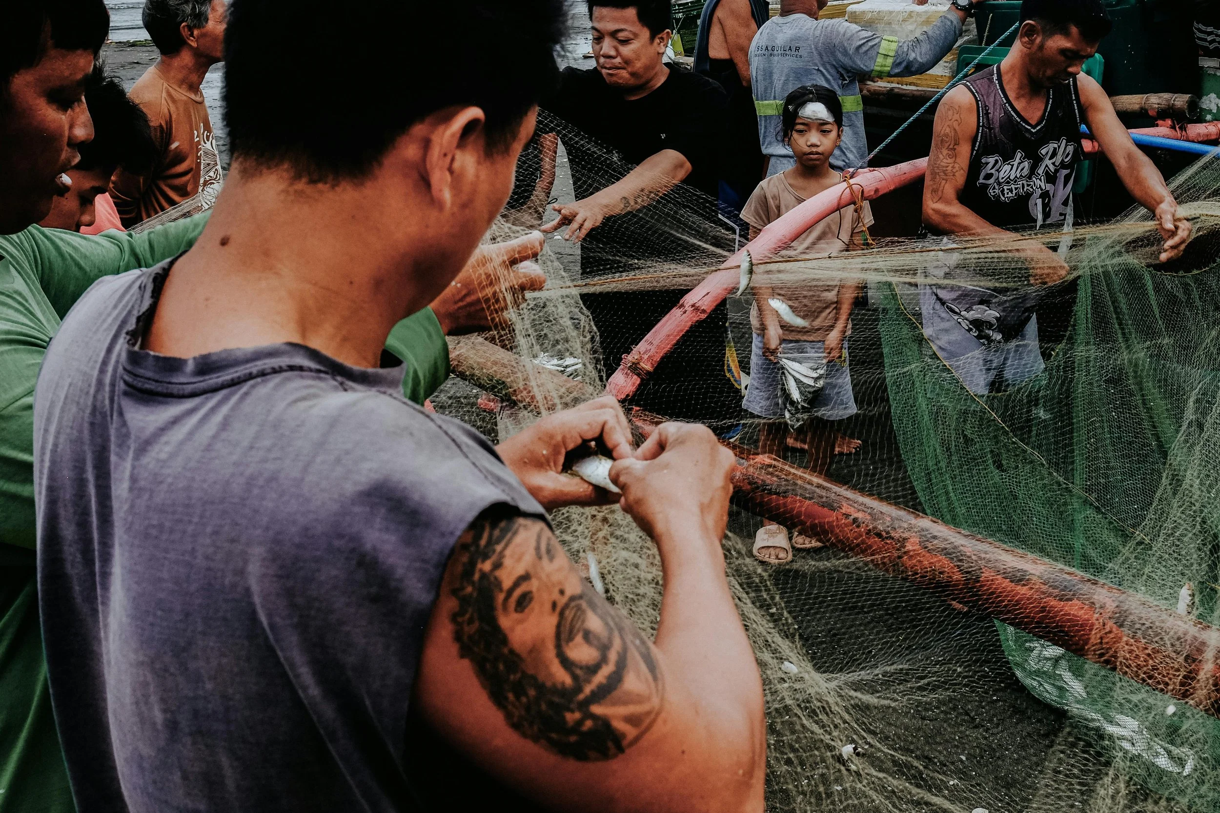 What investors really want to see in climate adaptation startups