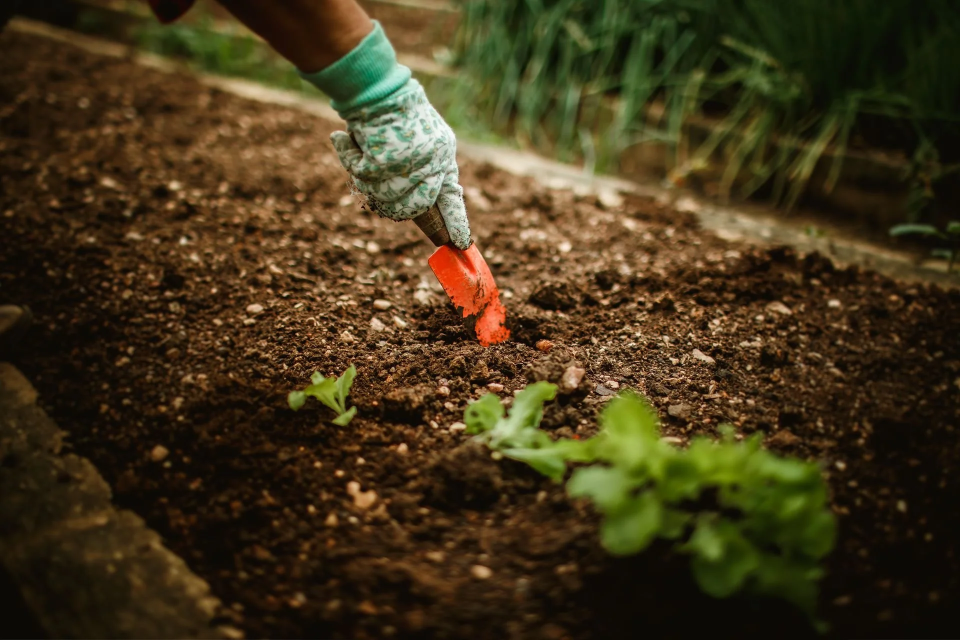 The little maker taking on global supply chains