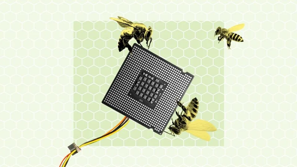 Can smart sensors improve the health and productivity of bee colonies ...