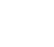 Tyson Virtual Experience