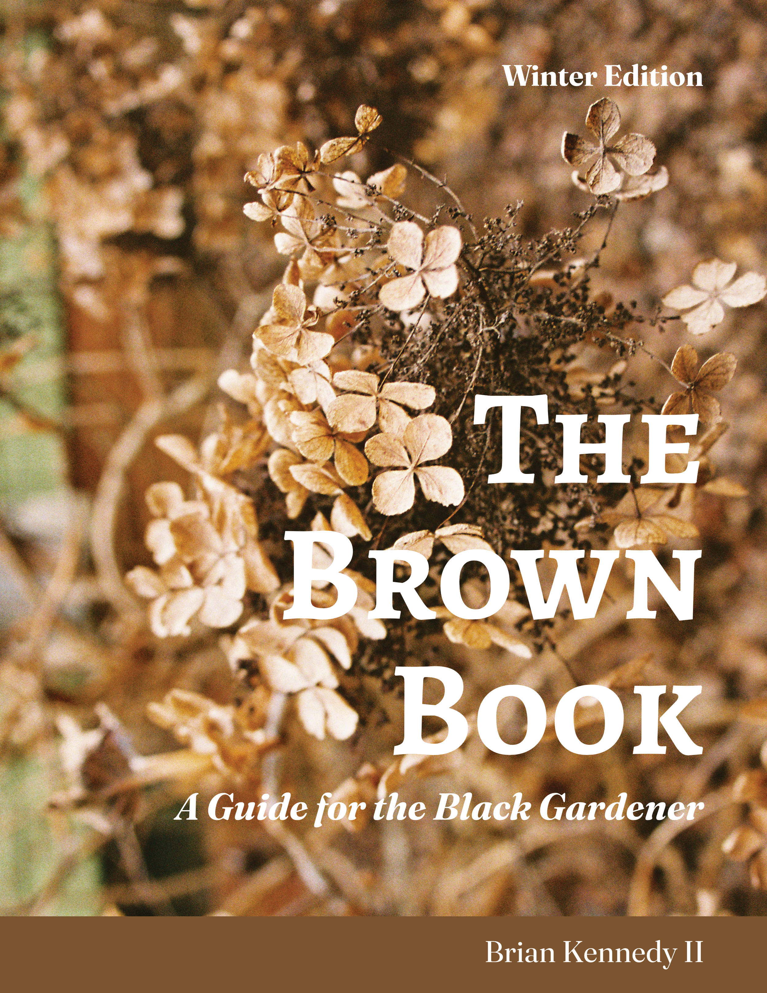 Brown_Book portfolio_1.png