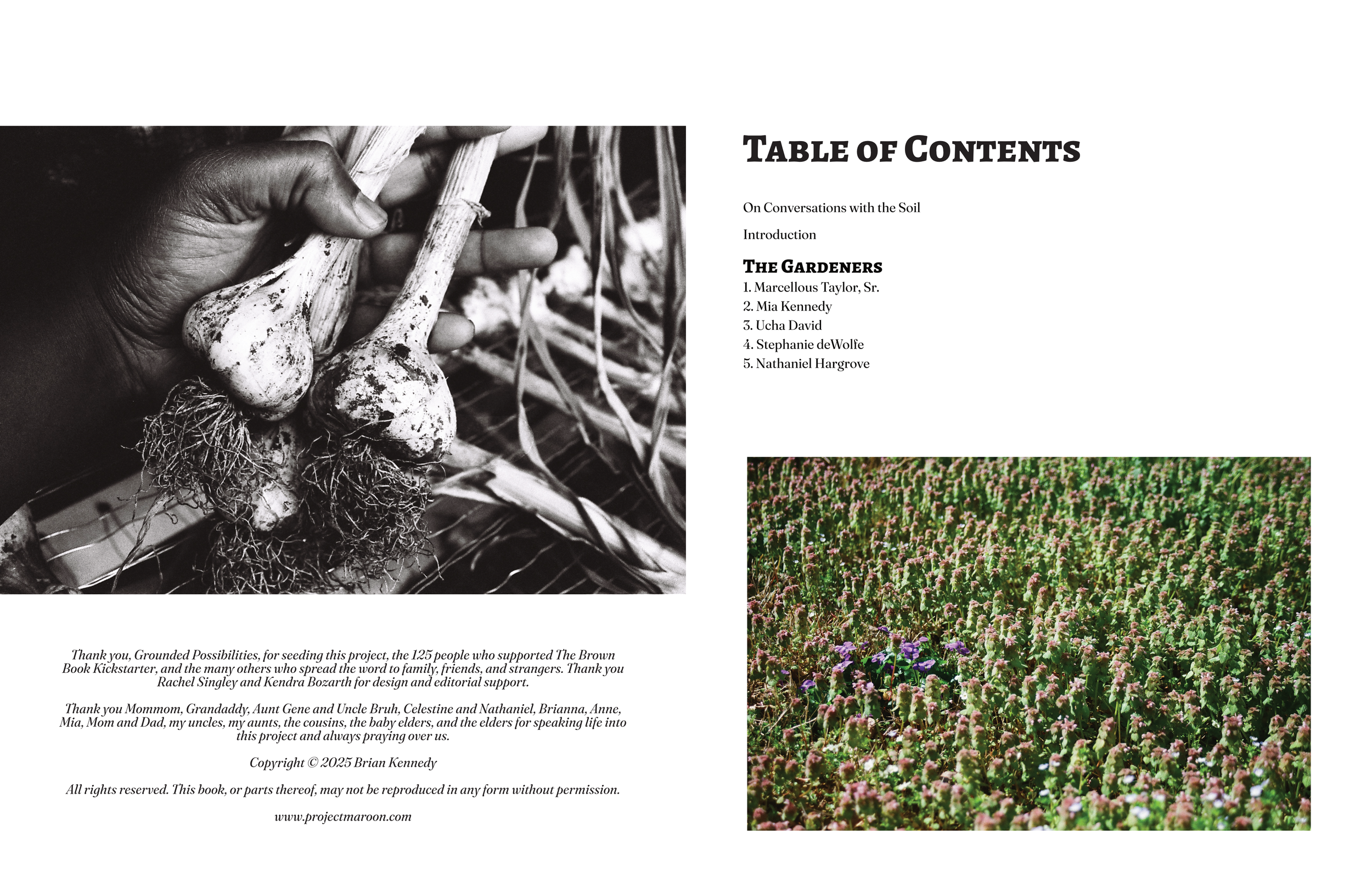 Brown_Book portfolio_2.png