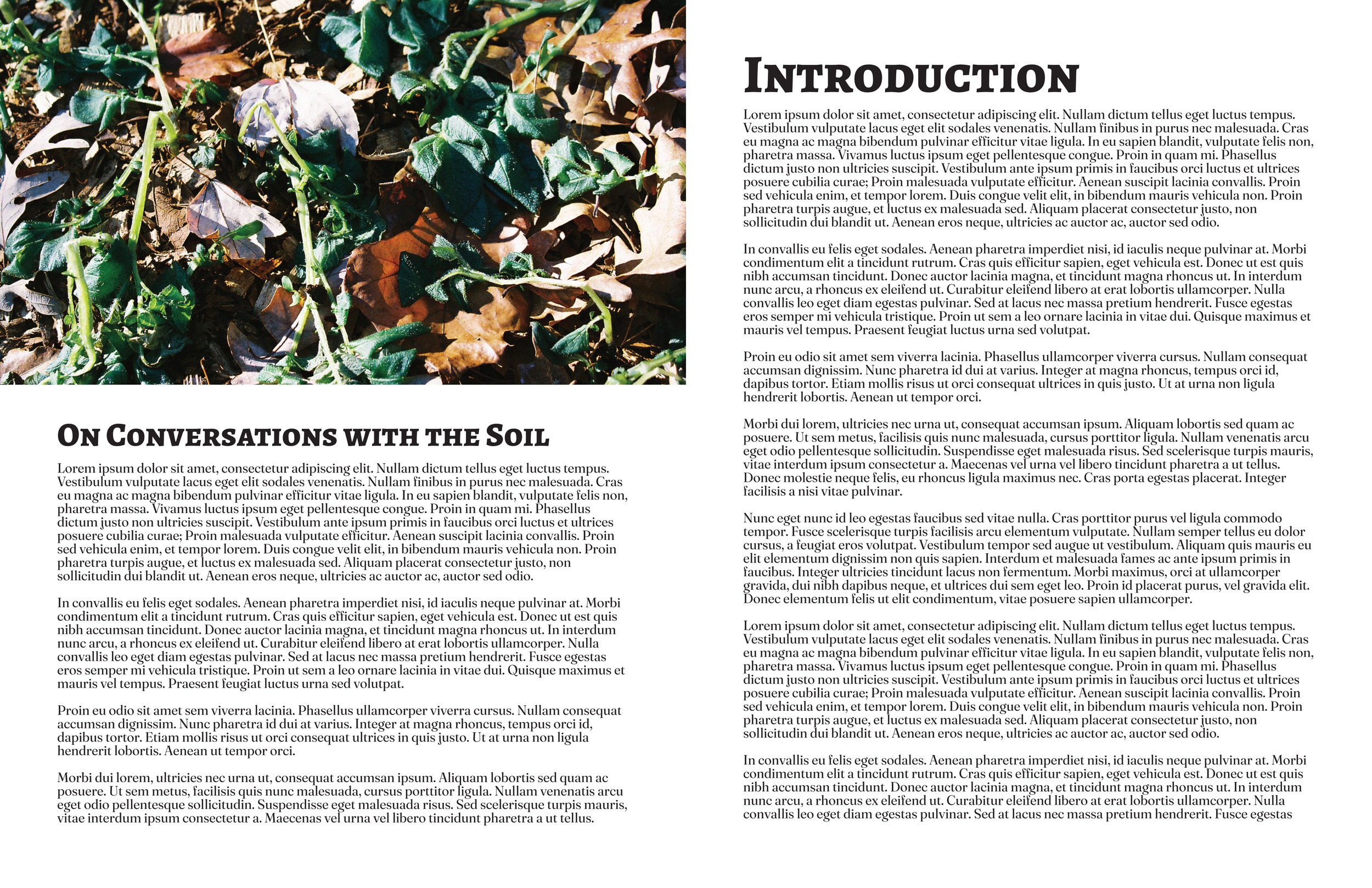 Brown_Book portfolio_3.png