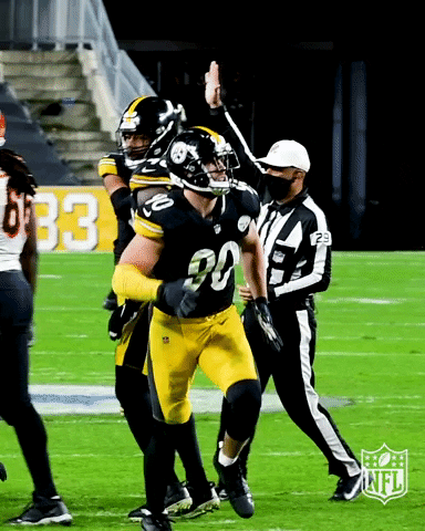 TJ Watt.gif
