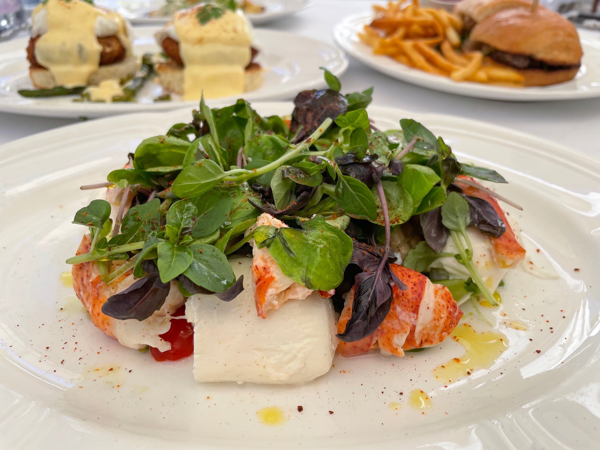 The Continental - Lobster &amp; Burrata Salad