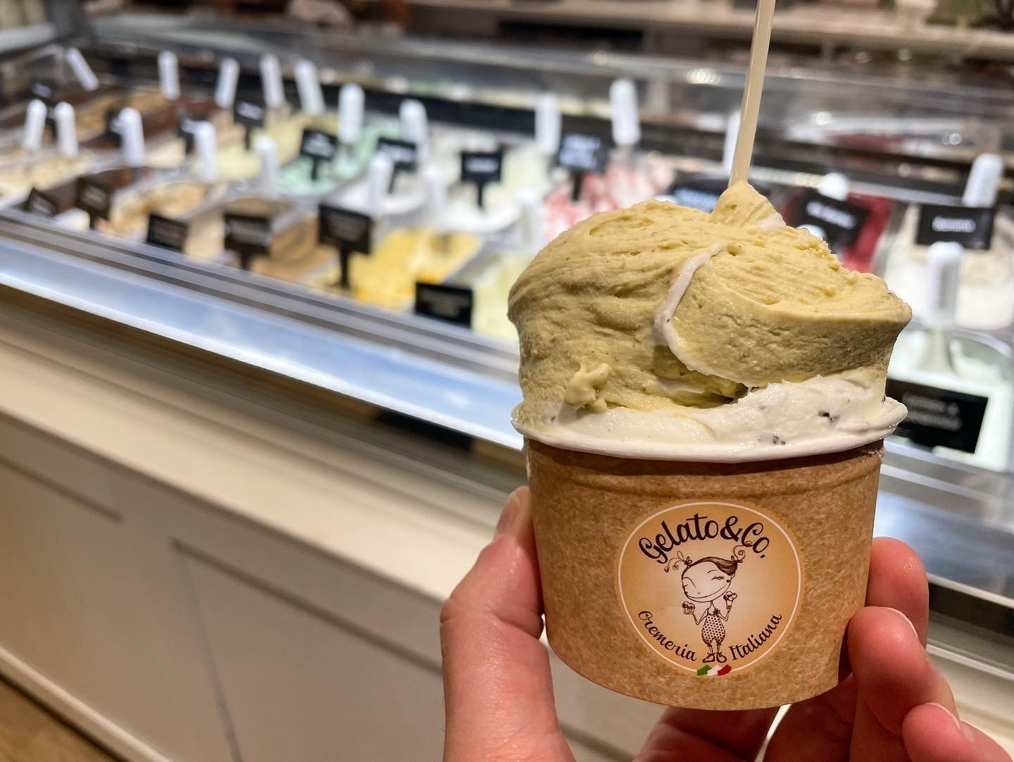 Gelato & Co. - Stracciatella Gelato