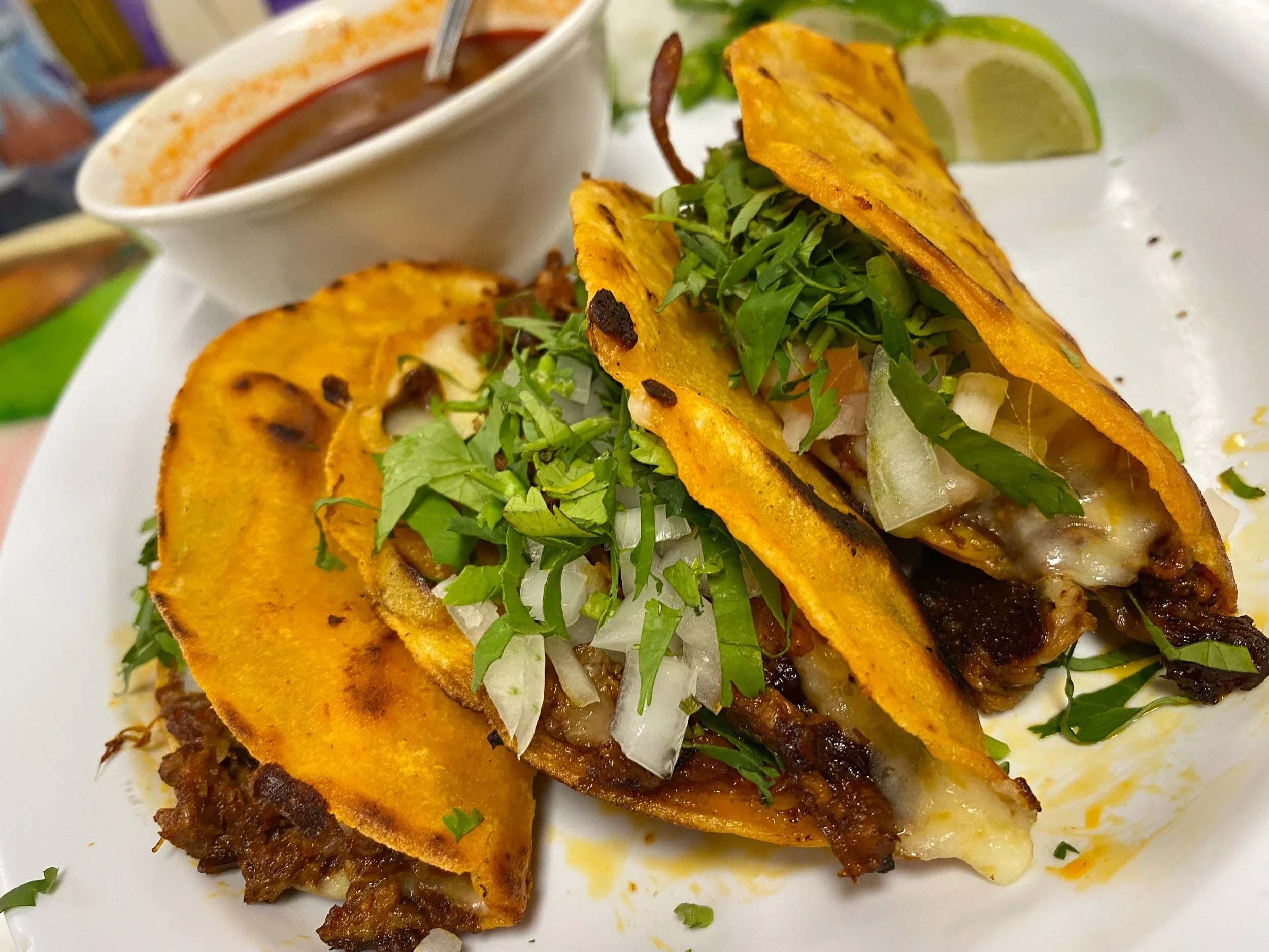 La Oaxaqueña - Quesabirria