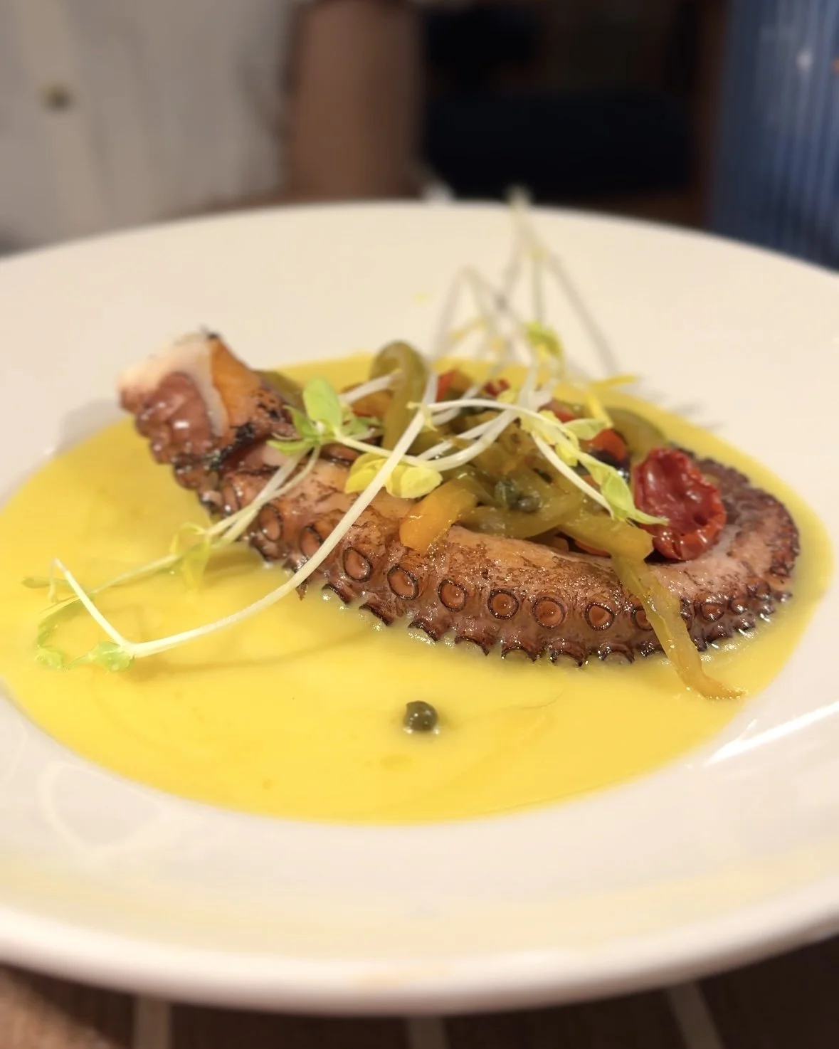 La Saliere - Octopus - Naples Noms