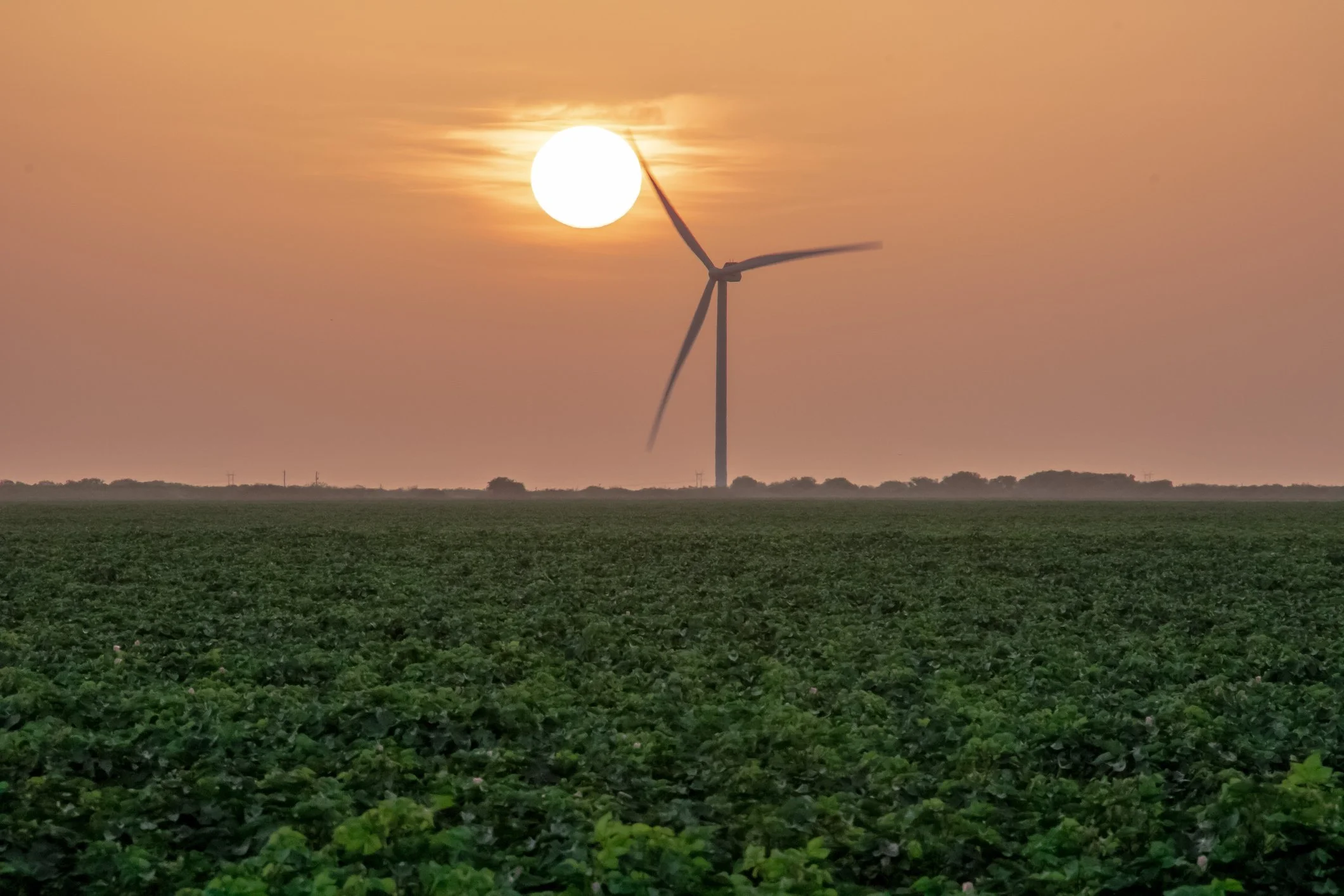 What ERCOT’s New Report Signals About the Future of Texas’ Power