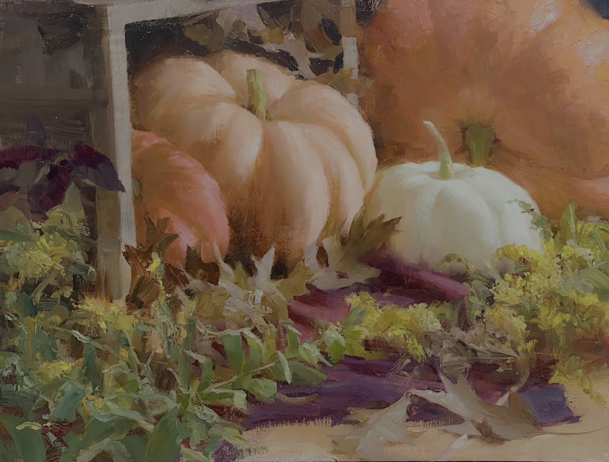  pumpkins.jpeg