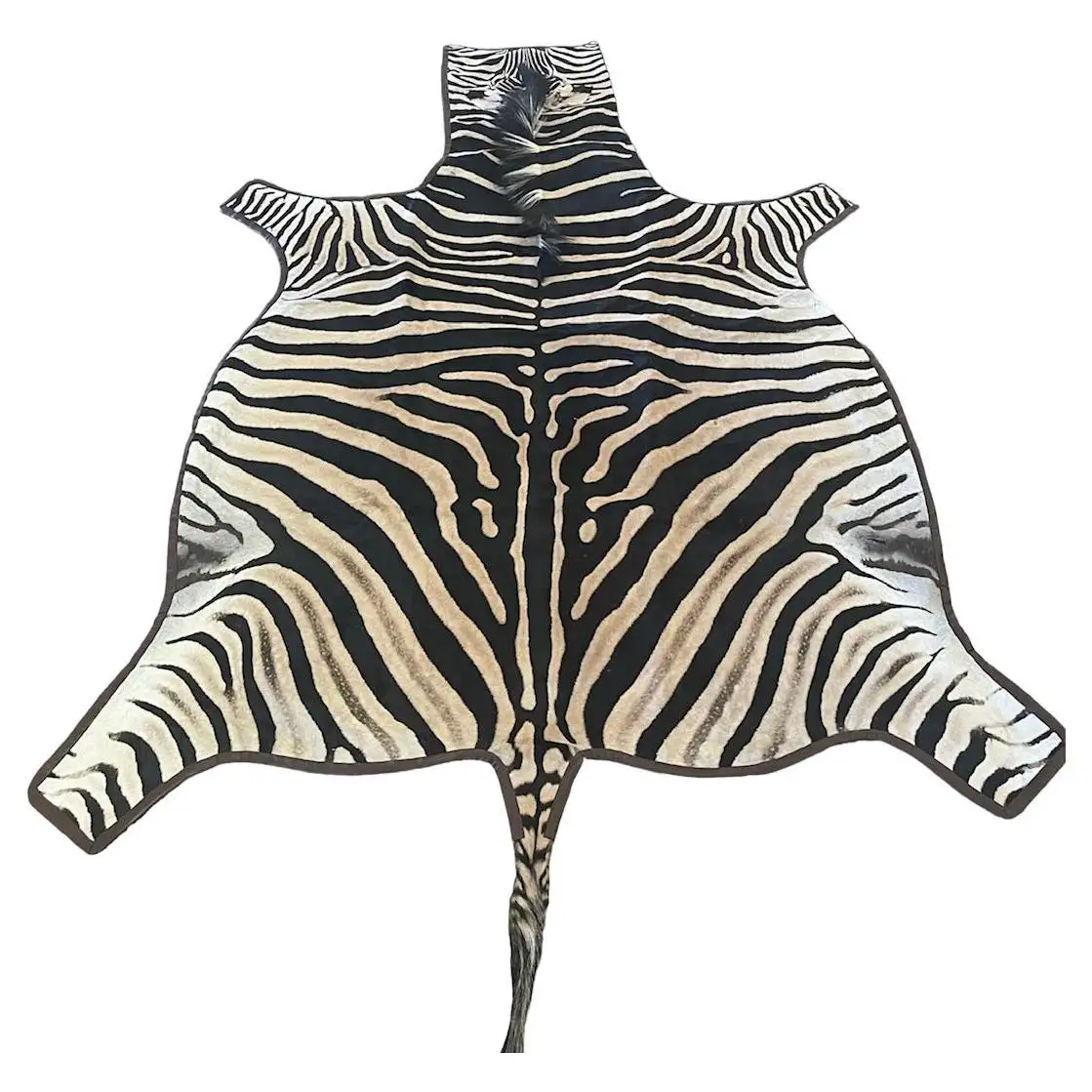 047_Gomez Zebra Hide Rug Trimmed in Brown It.png