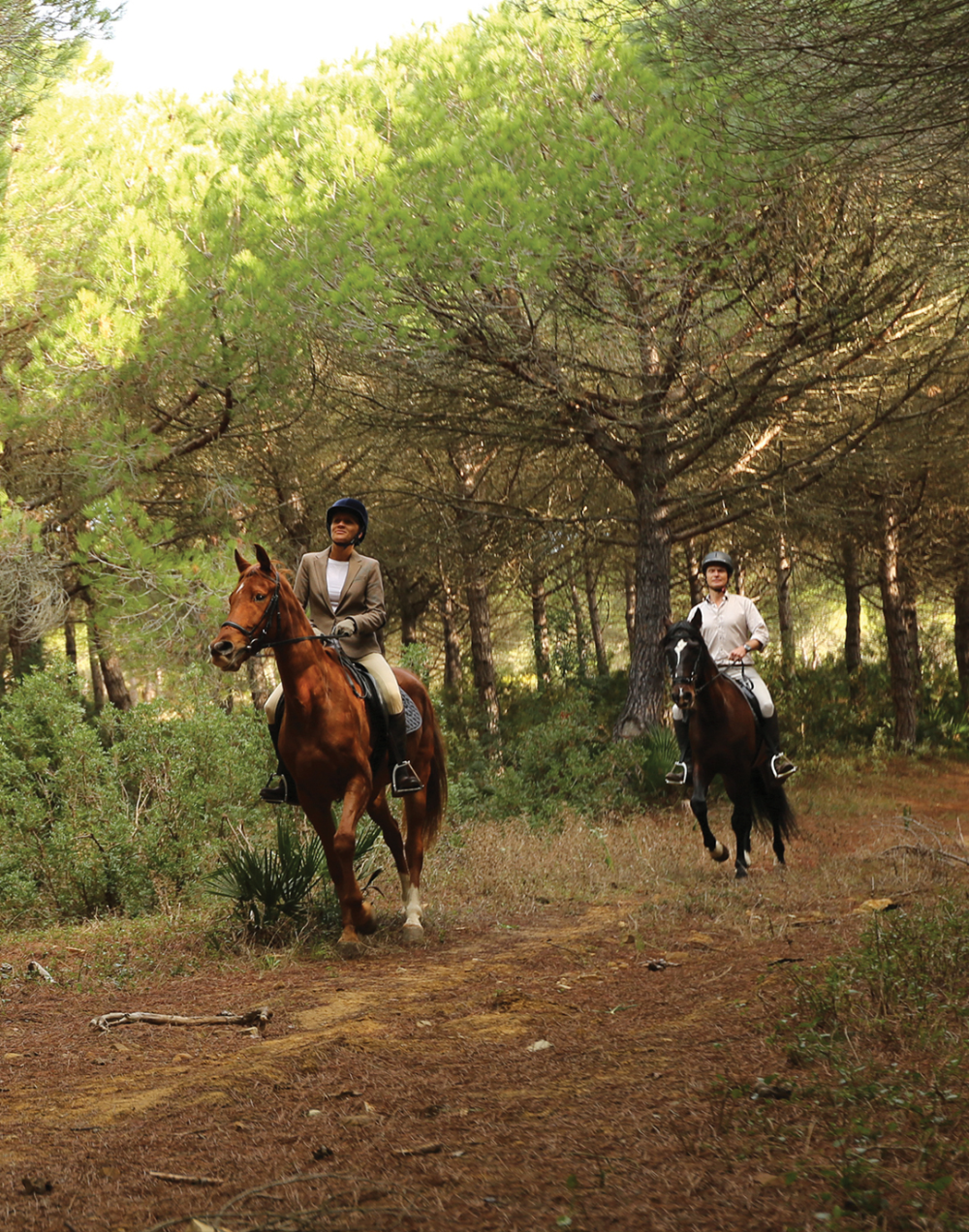 013_Lifestyle Archives - Sotogrande Andaluci.png