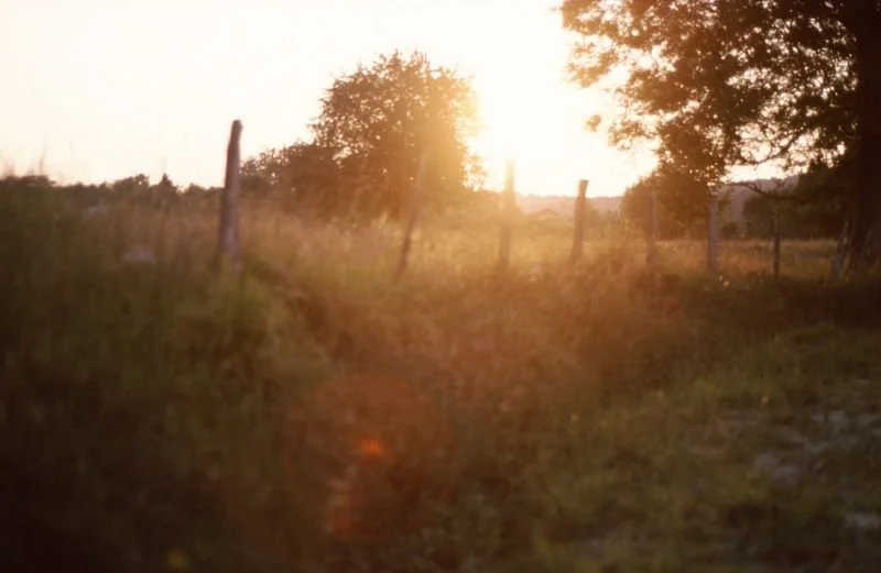 003_French Solstice.jpg