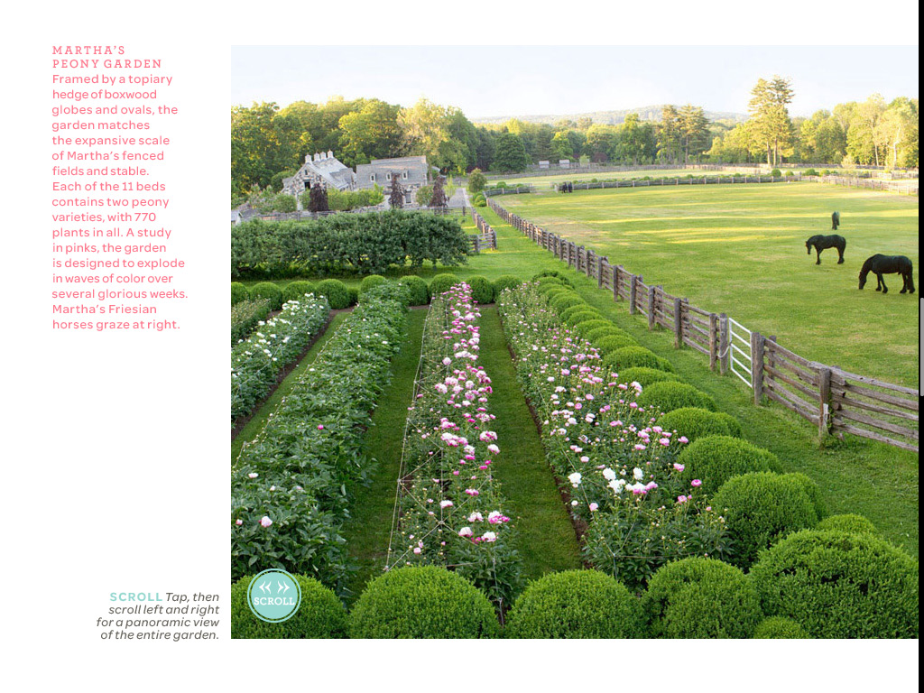 177_Martha Stewarts Peony Garden - Perfect l.png