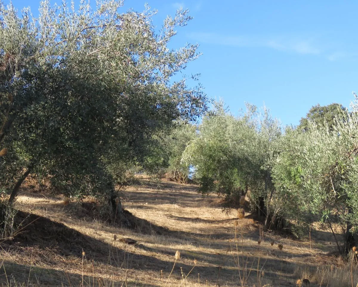 022_Off-Grid Cortijo, Fabulous Views.jpg