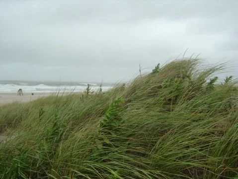 003_The Ocean _ Beachgrass..jpg