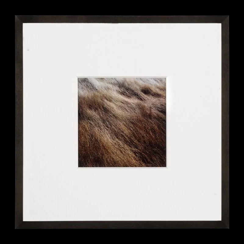 043_Harry Callahan Brown Grass, Horseneck Be.jpg