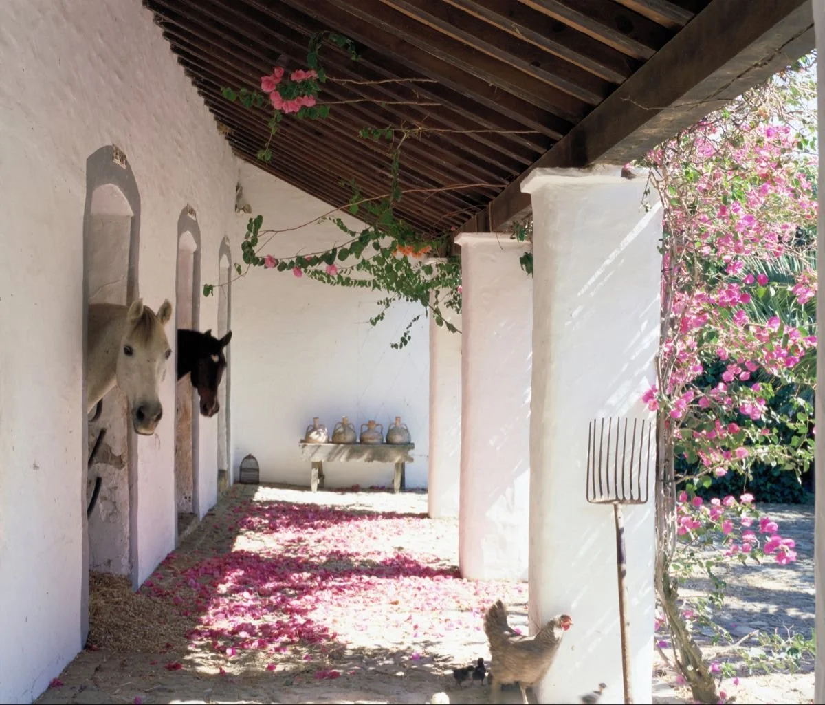 015_Cobbled Stable Courtyard.jpg
