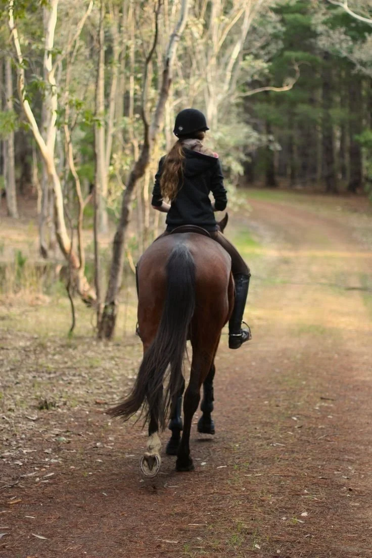 052_Horse Riding.jpg