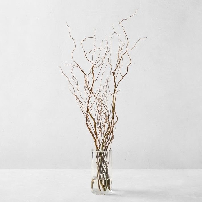039_Curly Willow Branches _ Williams Sonoma.jpg
