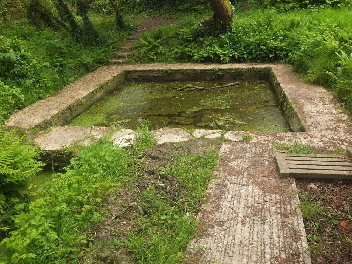 164_plouider - Plougasnou-les-eaux.jpg