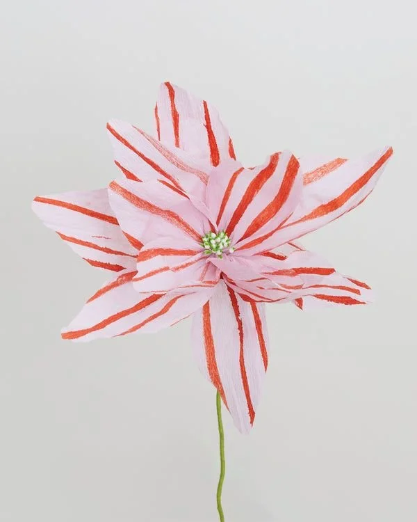 007_Les fleurs en papier.jpg