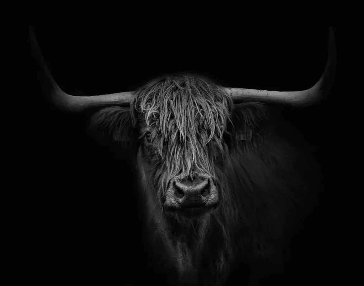 Taurus Full Moon - The Alchemy of Enough