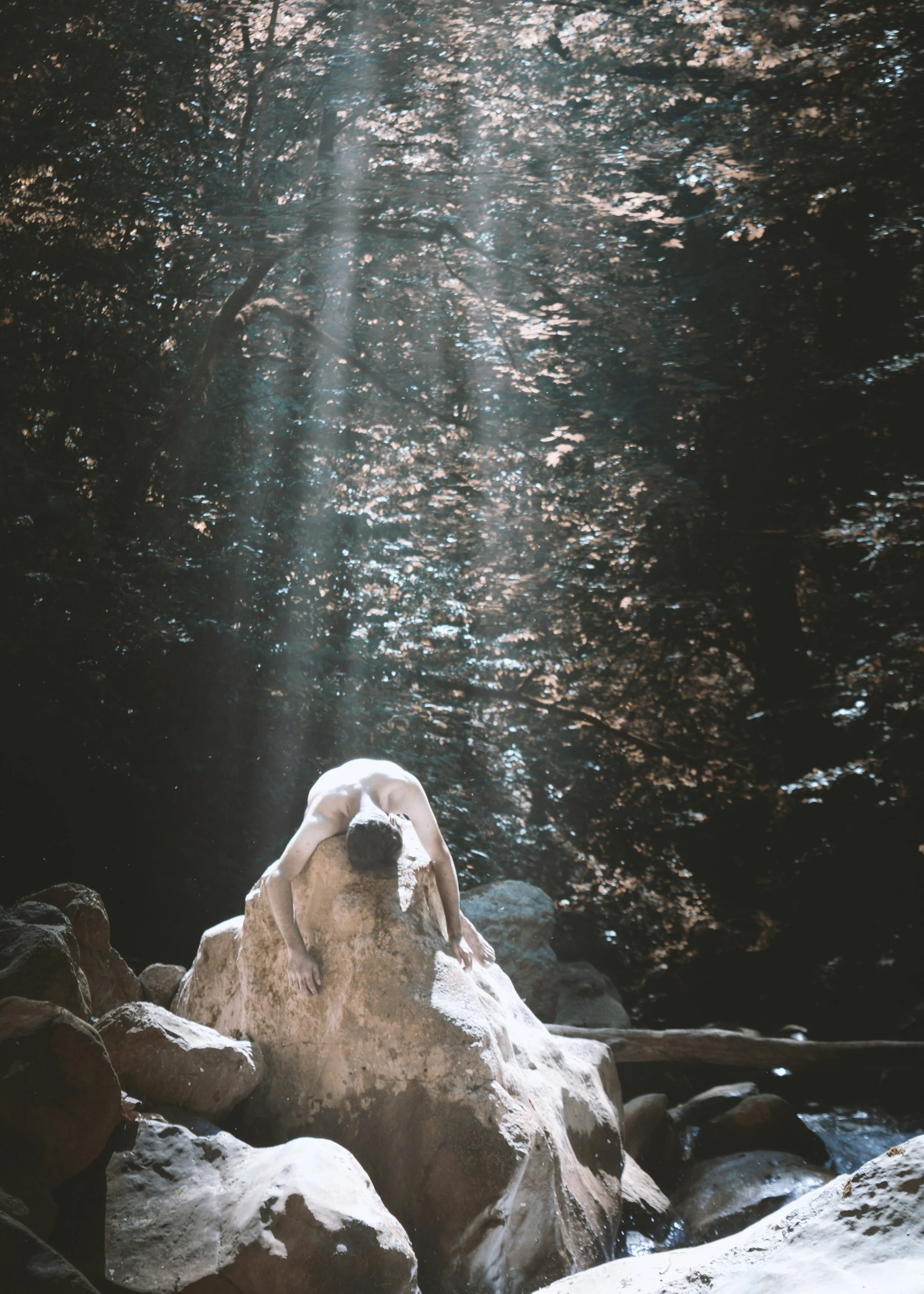 Sagittarius Season - Where the Underworld Lets Go and Your Fire Unfolds Into the Horizon