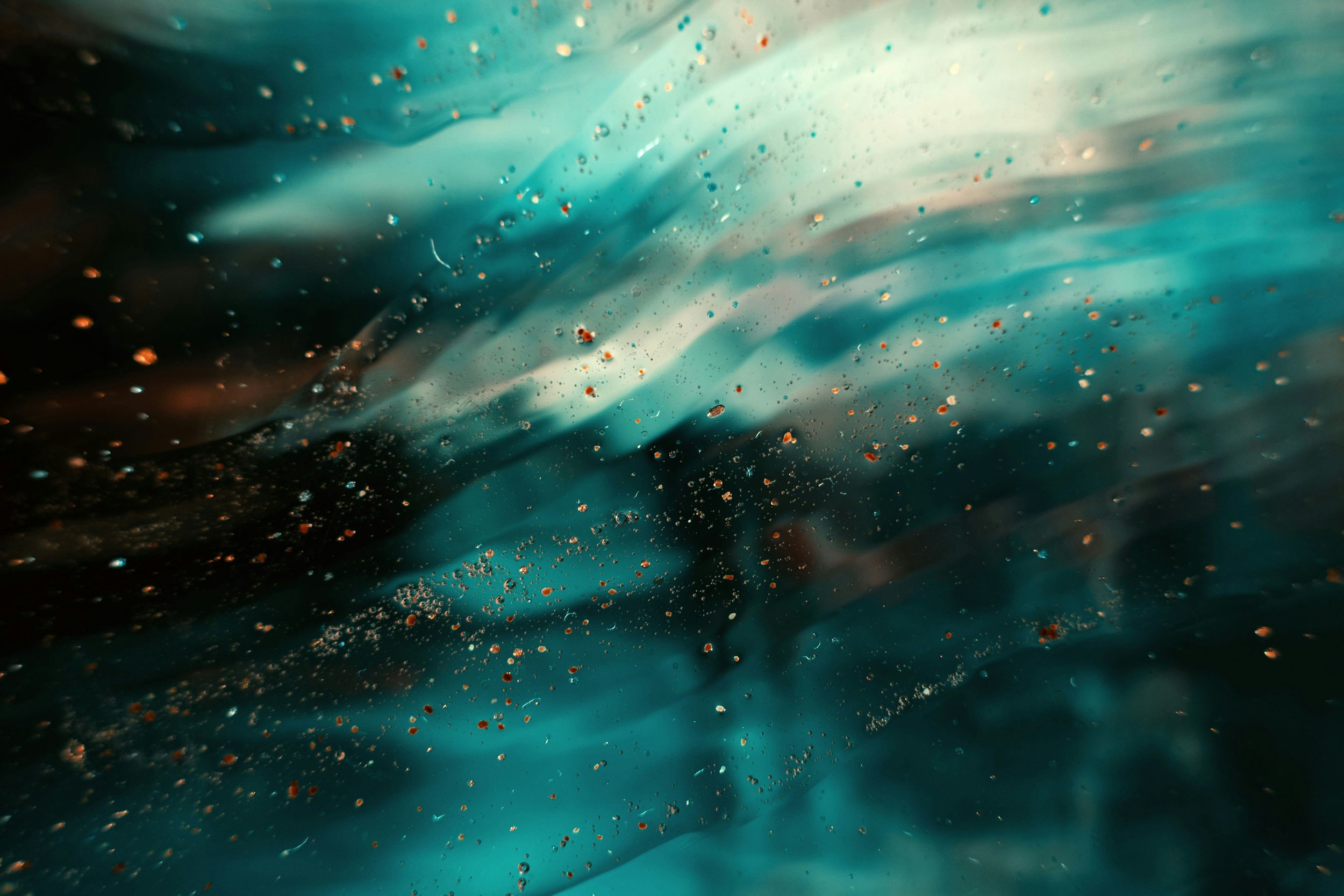 Neptune Direct 29º - The Edge Where Spirit Remembers Itself Through You