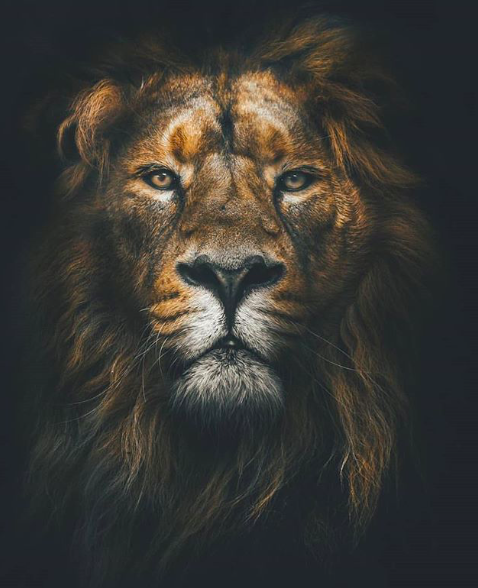 Jupiter in Leo.. The Throne Was Always Ours.