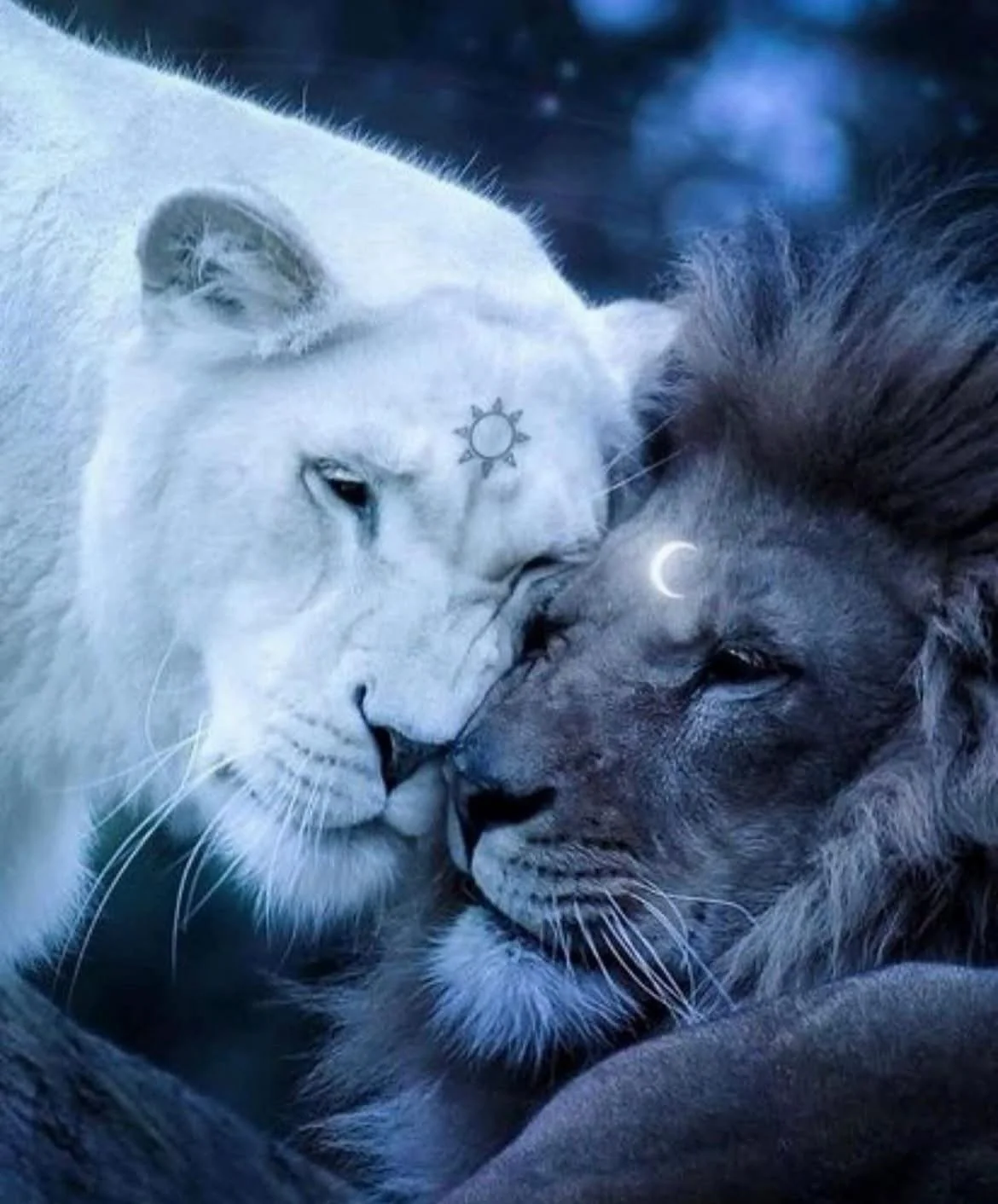 The Return of the Uncaged Heart - Leo Solar Eclipse 20º