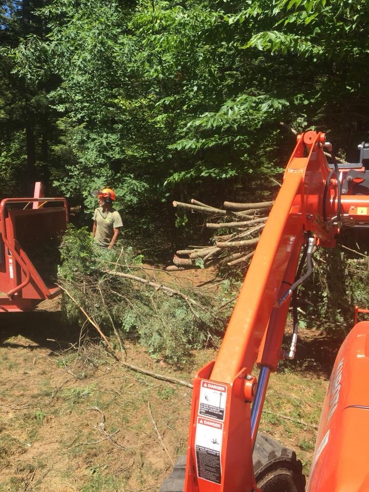 Tall Timbers Tree Service Chipper.jpg