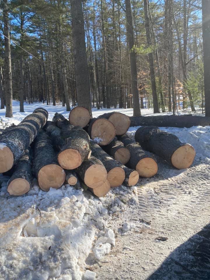 Tall Timber's Tree Service Cut Logs.jpg