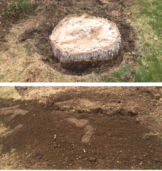 stump grinding.png