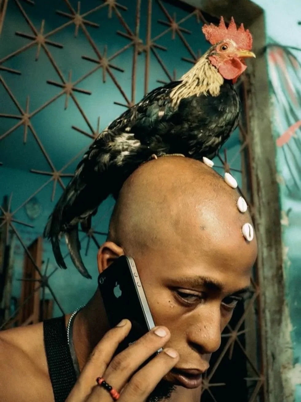 The ancestors don&rsquo;t call on WI-FI.
They speak through feathers, cowries and stillness !
.
📷 xl bully
.
.
#solomagic