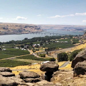 Wōden - Engineering Services for Rural Infrastructure